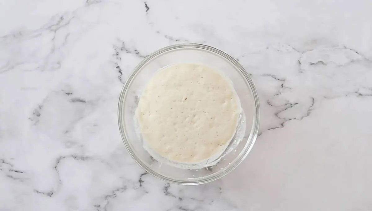 The starter after 2 hours in a bowl.