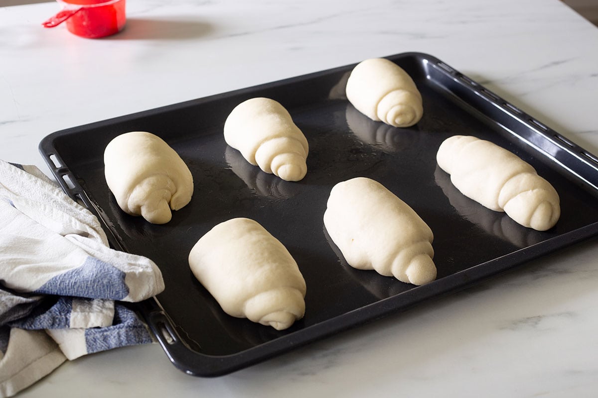 The panini rolls on a baking tray, raised and ready to bake.